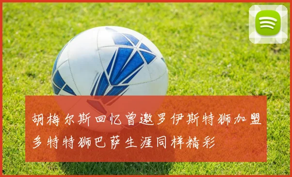 胡梅尔斯回忆曾邀罗伊斯特狮加盟多特特狮巴萨生涯同样精彩