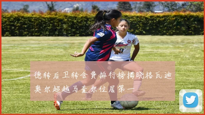 德转后卫转会费排行榜揭晓格瓦迪奥尔超越马奎尔位居第一